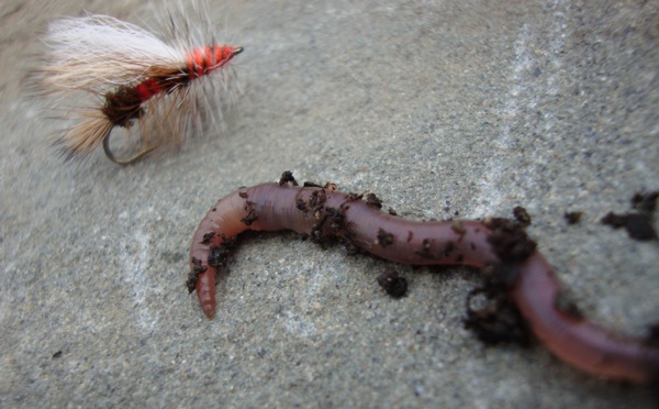 Fishing season: Fly versus Bait - photo Ed Woodsworth
