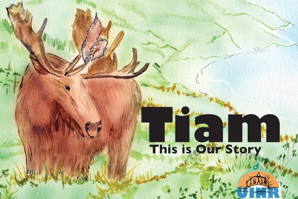Tiam This is our Story PRINT COVER